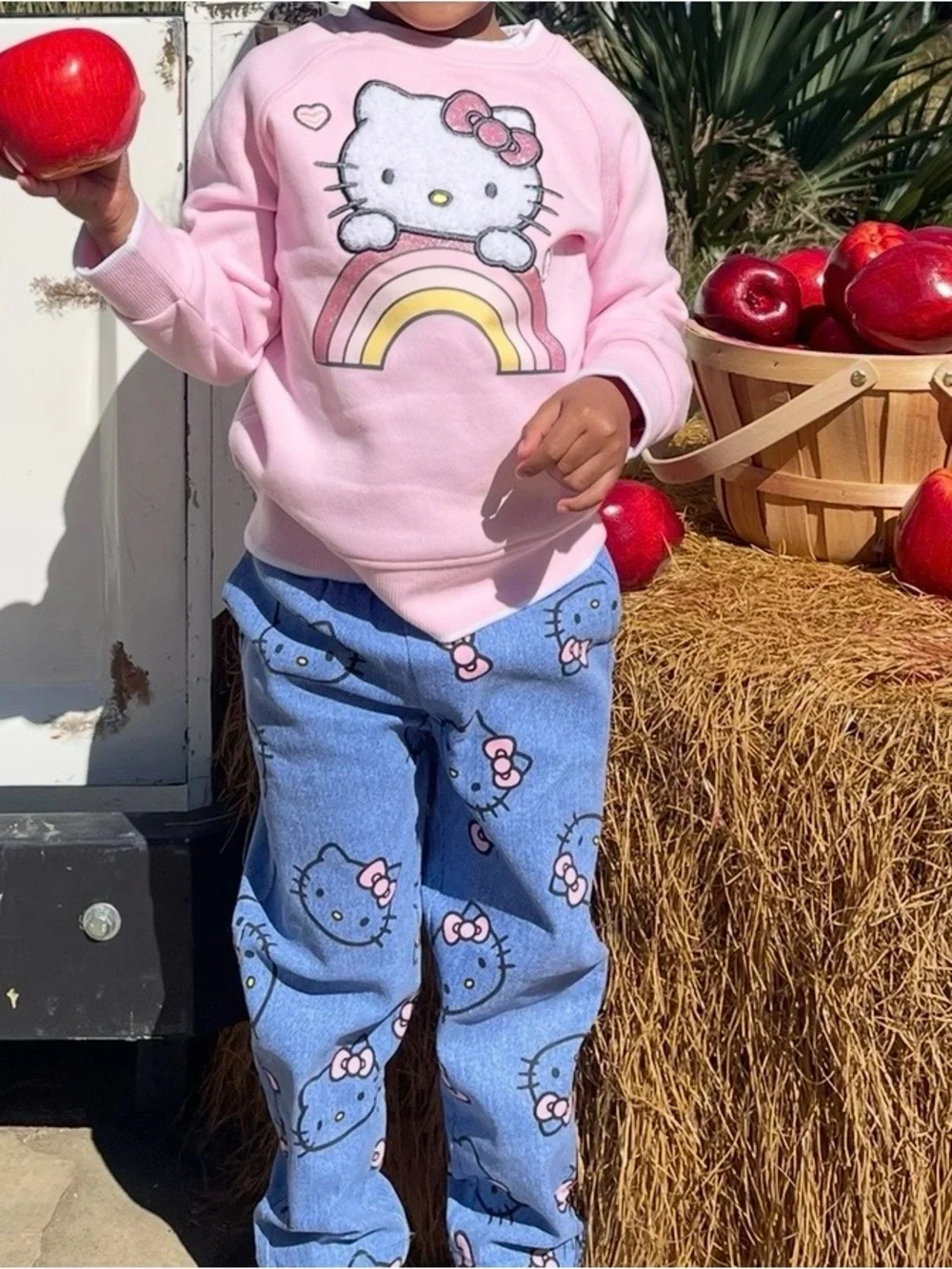 Hello Kitty Toddler Girl Outfit 3T